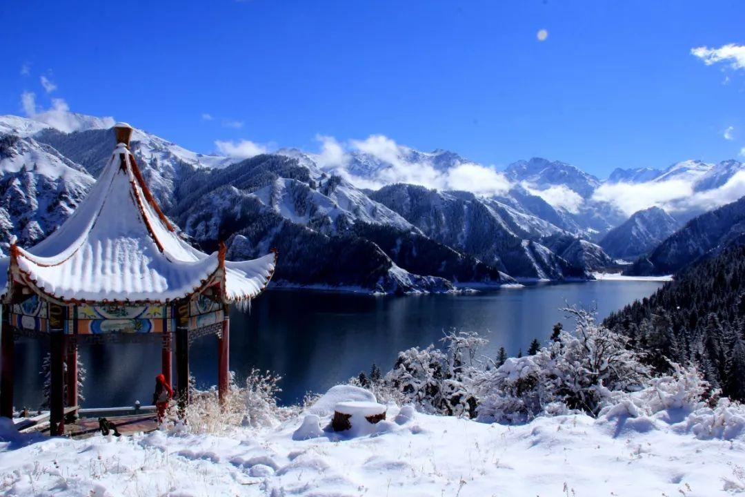 春雨直播app